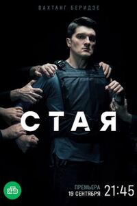 Стая